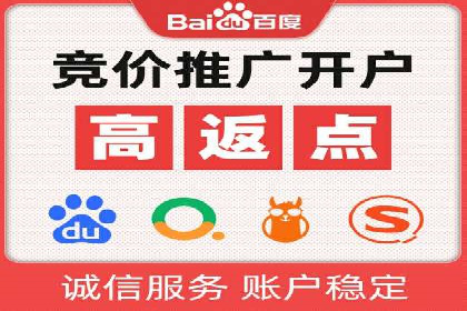 顶级SEM服务公司案例解析